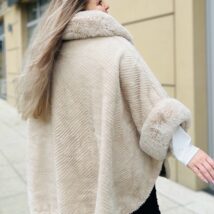 Photoroom_20251007_205332